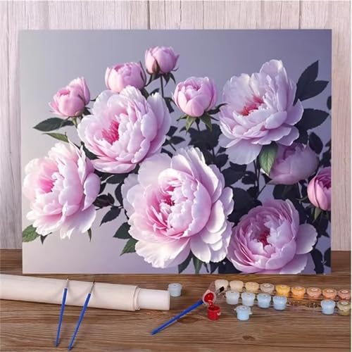 Januave Malen Nach Zahlen Erwachsene,Rosa Blumen DIY mit Pinseln und Acrylfarben Handgemalt Ölgemälde Leinwand Framed für Home Decor,50x65cm von Januave