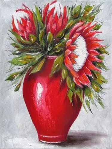 Januave Malen Nach Zahlen Erwachsene,Rote Blume DIY mit Pinseln und Acrylfarben Handgemalt Ölgemälde Leinwand Framed für Home Decor,50x65cm von Januave