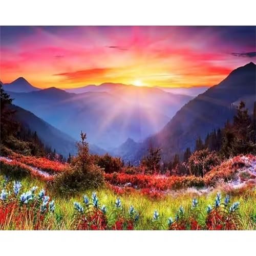 Januave Malen Nach Zahlen Erwachsene,Sonnenaufgang Landschaft DIY mit Pinseln und Acrylfarben Handgemalt Ölgemälde Leinwand Framed für Home Decor,40x50cm von Januave