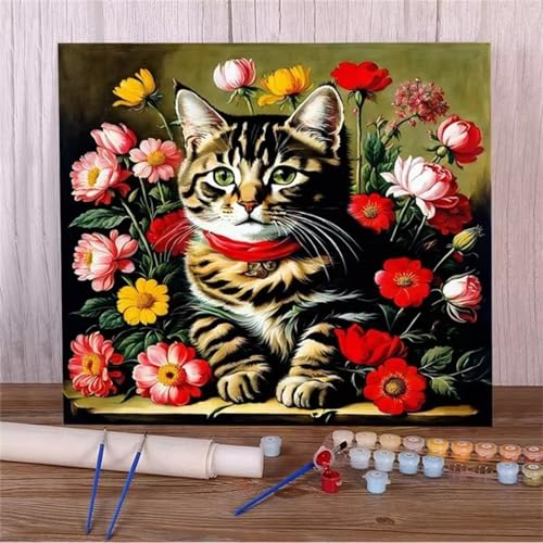 Januave Malen Nach Zahlen Erwachsene,Tier Katze DIY mit Pinseln und Acrylfarben Handgemalt Ölgemälde Leinwand Framed für Home Decor,40x50cm von Januave