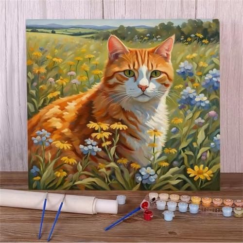 Januave Malen Nach Zahlen Erwachsene,Tier Katze DIY mit Pinseln und Acrylfarben Handgemalt Ölgemälde Leinwand Framed für Home Decor,60x75cm von Januave