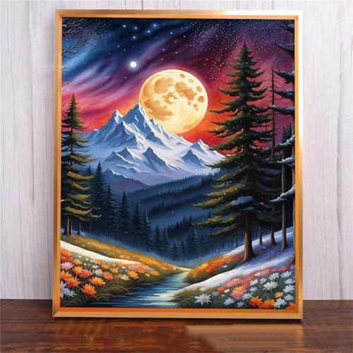 Mond Verschneiter Berg DIY 5D Diamond Painting,Diamant Malerei für Haus Dekoration,Wohnzimmer Schlafzimmer Büro Eingang Dekoratio,Diamond Painting Set für Erwachsene und Kinder-Round Drill,70x100cm von Januave