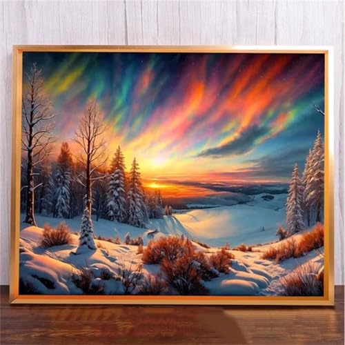 Snowy SchöNe Landschaft DIY 5D Diamond Painting,Diamant Malerei für Haus Dekoration,Wohnzimmer Schlafzimmer Büro Eingang Dekoratio,Diamond Painting Set für Erwachsene und Kinder-Round Drill,20x50cm von Januave