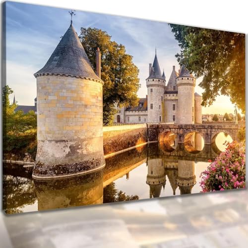 Diamond Painting Schloss Szenerie Diamond Art Painting Full Zubehör, Diamant Painting Bilder Erwachsene Groß Stickerei Kreuzstich Kinder Diamant Malerei Art Craft Wanddekoration Gifts 40x80cm F-100 von Jaxiaco