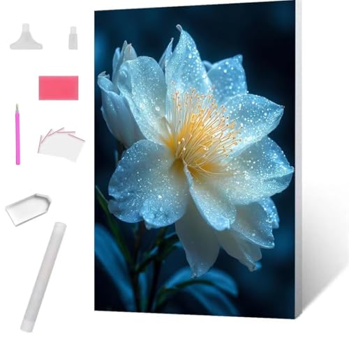 Epiphyllum Diamond Painting Erwachsene 30x40cm, DIY 5D Diamant Painting Bilder kinder Malen Nach Zahlen Set, Diamond Art Full Diamant Malerei Kunst Basteln für Weihnachten Home Wand Dekor S-860 von Jaxiaco