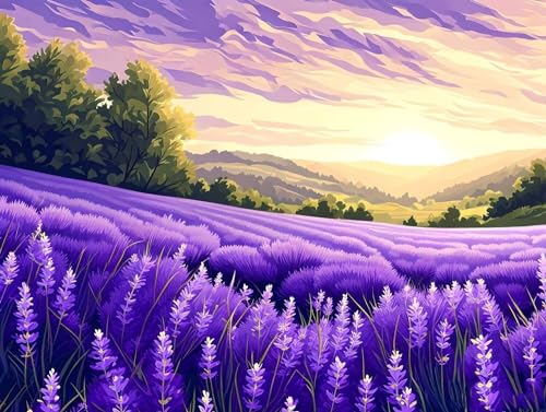 Lavendel Blumen-Malen nach Zahlen für Erwachsene, Knitterfreie Leinwand, DIY Digitales Ölgemälde-Set auf Leinwand mit Pinseln und Acrylpigment, Artwork für Heimdekoration, 50x60cm (Rahmenlos) R-508 von Jaxiaco