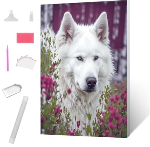 Samoyedvietnam. kgm Diamond Painting Erwachsene 30x40cm, DIY 5D Diamant Painting Bilder kinder Malen Nach Zahlen Set, Diamond Art Full Diamant Malerei Kunst Basteln für Home Wand Dekor S-748 von Jaxiaco