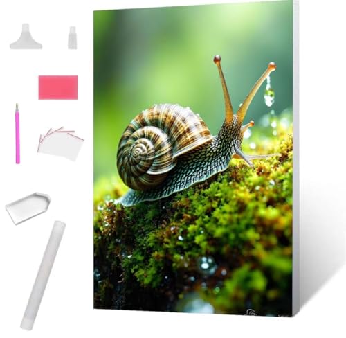 Schnecke Diamond Painting Erwachsene 30x40cm, DIY 5D Diamant Painting Bilder kinder Malen Nach Zahlen Set, Diamond Art Full Diamant Malerei Kunst Basteln für Home Wand Dekor, Weihnachten Geschenk S891 von Jaxiaco