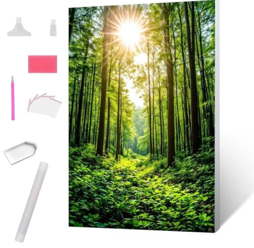 Wald Diamond Painting Erwachsene 90x120cm, DIY 5D Diamant Painting Bilder kinder Malen Nach Zahlen Set, Diamond Art Full Diamant Malerei Kunst Basteln für Home Wand Dekor, Weihnachten Geschenk S-762 von Jaxiaco