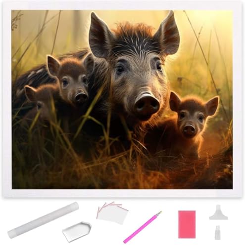 Wildschwein Diamond Painting Erwachsene 30x40cm, DIY 5D Diamant Painting Bilder kinder Malen Nach Zahlen Set, Diamond Art Full Diamant Malerei Kunst Basteln für Weihnachten Home Wand Dekor S-992 von Jaxiaco