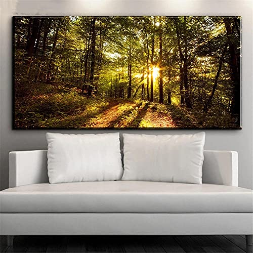 Jayogo Diamant Painting Bilder groß,5D Diamond Painting Sonnenaufgang Wald,DIY Diamond Painting Full Set, Diamant Painting Erwachsene Kinder, Kristall Kunsthandwerk Wall Eingang Dekoration 100x200cm von Jayogo