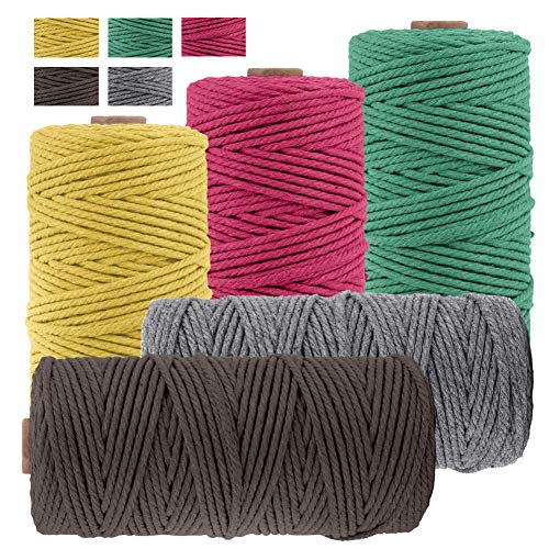 JeogYong 5 Stück Makramee Garn Set, Makramee Garn Baumwollgarn Makramee-Seil Weiches Baumwoll-Seil, zum Wandbehänge, Pflanzenhalter, Basteln, Heimtextilien, 3mm x 100m (5 Farben B) von JeogYong