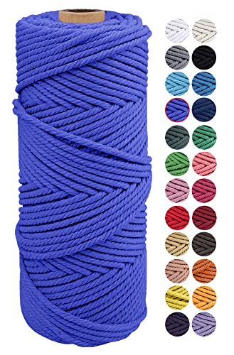 JeogYong Naturliches Baumwolle Garn, Natürlich Baumwollgarn Makramee-Seil Weiches Baumwoll-Seil, zum Wandbehänge, Pflanzenhalter, Basteln, Heimtextilien, Geschenkverpackung 2mm x 100m (Blau) von JeogYong