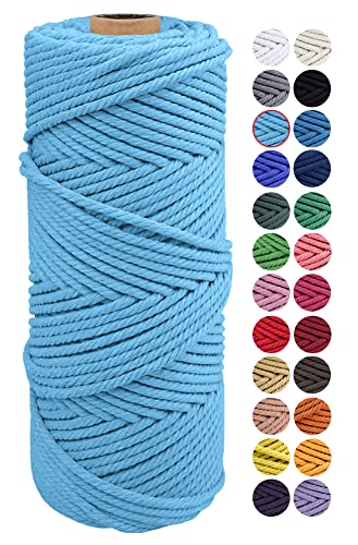 JeogYong Naturliches Baumwolle Garn, Natürlich Baumwollgarn Makramee-Seil Weiches Baumwoll-Seil, zum Wandbehänge, Pflanzenhalter, Basteln, Heimtextilien, Geschenkverpackung 2mm x 100m (Himmelblau) von JeogYong