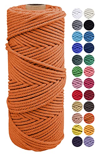 JeogYong Naturliches Baumwolle Garn, Natürlich Baumwollgarn Makramee-Seil Weiches Baumwoll-Seil, zum Wandbehänge, Pflanzenhalter, Basteln, Heimtextilien, Geschenkverpackung 2mm x 100m (Orange) von JeogYong