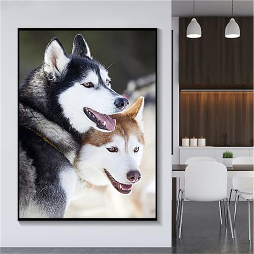 5D Diamond Painting Erwachsene Kit,Husky Hund Diamant Painting Bilder,DIY Diamond Art für Erwachsene Kinder Kristall Strass Kreuzstich Stickerei Malen Nach Zahlen Geschenke Wand Deko,40x60cm von Jinmer