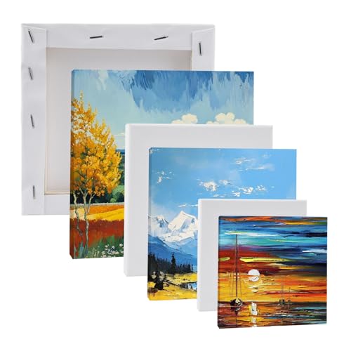 6 Stück Leinwand zum Bemalen Set 10x10cm/15x15cm/20x20cm Weiß Mini Leinwand Set, Kleine Leinwände zum Bemalen, Baumwolle Leinwand Rahmen Keilrahmen für Acrylfarben, Gemälde, Wasser Malbrett von Jinsion