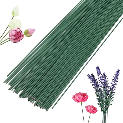 Blumendraht Grün, 60 Stück Blumenstieldraht Grüner Floristikdraht 2 mm Blumenstieldraht 30 cm lang Floristikdraht Grüner Steckdraht von Jinsion