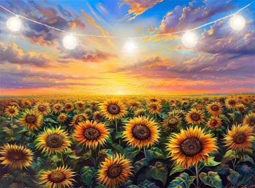 Diamond Painting Erwachsene, Diamond Painting Sonnenuntergang Diamant Paintings Bilder Sonnenblume Daiments Paintings Kinder, DIY Mosaik Bastelset Erwachsene, fur Aesthetic Room Decor 100x130cm JI-519 von Jinycoon