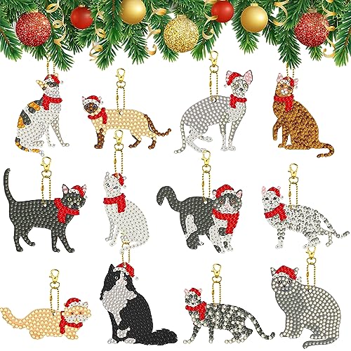 12 Stück Weihnachten Diamant Malerei Schlüsselanhänger,Katzen Doppelseitiger Diamond Craft Keyring,Strass Malerei Schlüsselbund Kunst Handwerk Anhänge Mosaik Diamant Painting Kinder Set für Decor von Jodsen