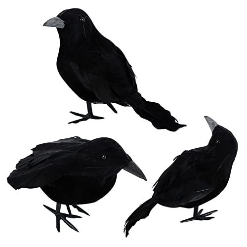 3 Stück Halloween Krähen Künstliche Gefiederte Krähen Realistische Raben Vögel Dekorationen Gespenstische Schwarze Feder Krähe Vogel für Halloween Party Requisiten Innen Außen Haus Garten Dekoration von Jodsen