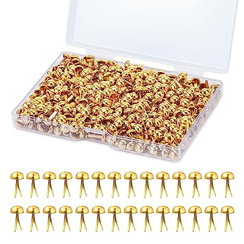 Mini Brads Runde Metall Brads Papierverschlüsse Gold Musterbeutelklammern für Scrapbooking Basteln DIY Kunsthandwerk 6mm 500 Stück von Johotone