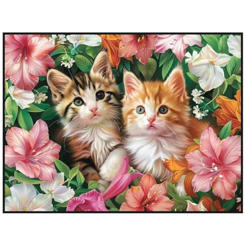 Diamond Painting Katze Tier Diamond Painting Erwachsene,5D Diamant Painting Bilder Full Drill Diamond Painting Kinder,DIY Malen Nach Zahlen Diamant Malerei Stickerei Set für Wand Dekor 65x90 cm Y/833 von Jonceen