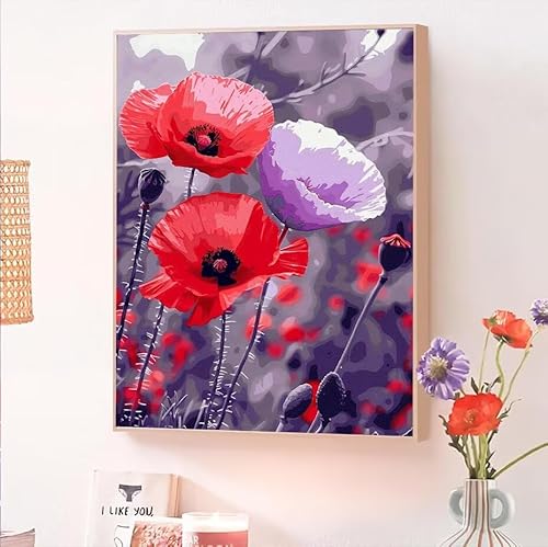 Rot Malen Nach Zahlen Erwachsene, Malen Nach Zahlen ab 5 7 9 Jahre Mädchen, DIY Handgemalt Ölgemälde Kit für Anfänger Erwachsene Mit 3-Pinseln und Acrylfarbe,Home Wand Décorieren Blume 25x35cm O-233 von Jqynn