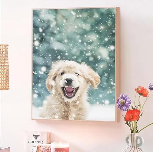 Tier Malen Nach Zahlen Erwachsene, Malen Nach Zahlen ab 5 7 9 Jahre Mädchen, DIY Handgemalt Ölgemälde Kit für Anfänger Erwachsene Mit 3-Pinseln und Acrylfarbe,Home Wand Décorieren Hund 25x35cm O-109 von Jqynn