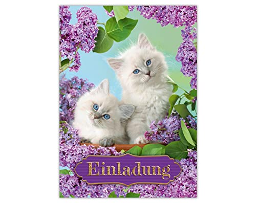 Junapack 12 Einladungskarten zum Kindergeburtstag Geburtstag Mädchen Katzen von Junapack