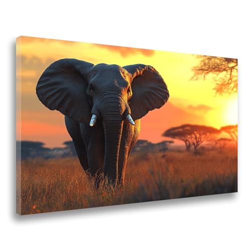 Diamand Painting Erwachsene Elefant Diamond Painting Sonnenuntergang Diamant Painting, 5D DIY Full Eckige Steine Drill Diamant Crystal Strass Stickerei Set 80x100cm für Wanddekor,Frauen Geschenk F-61 von Jvyaeen