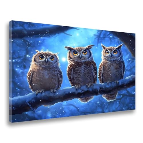 Diamand Painting Erwachsene Tier Diamond Painting Vogel Diamant Painting, 5D DIY Full Eckige Steine Drill Diamant Crystal Strass Stickerei Painting Set 80x100cm für Wanddekor, Frauen Geschenk F-132 von Jvyaeen