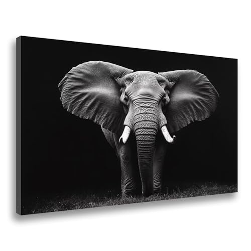 Elefant Diamond Painting Tier Diamond Painting Erwachsene Kinder Klein 30x40cm, 5D Diamant Painting Bilder Bastelset Erwachsene Frauen Geschenk,DIY Diamond Painting Zubehör Set Wanddeko Aesthetic F-59 von Jvyaeen