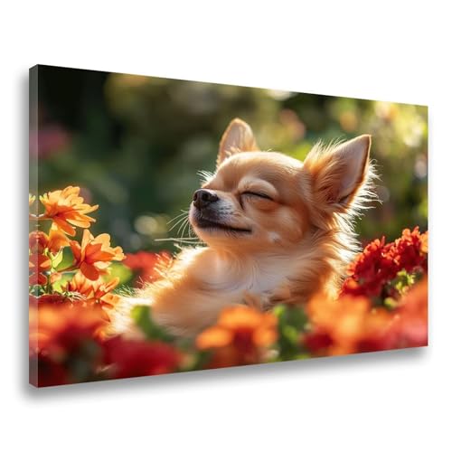 Hund Diamond Painting Landschaft Diamond Painting Erwachsene Kinder Klein 30x40cm,DIY 5D Diamant Malerei Crystal Art Bastelset Erwachsene Frauen Geschenk, Mosaikherstellung, Wanddeko Aesthetic F-373 von Jvyaeen