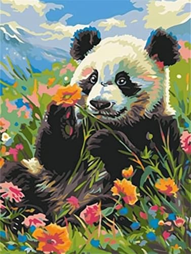 Jvyaeen Malen Nach Zahlen Erwachsene Panda, DIY Malen Nach Zahlen Tier Ölgemälde Leinwand Kit für Anfänger, Mit 3-Pinseln und Acrylfarbe, für Home Wanddeko Wohnzimmer, Geschenke Mädchen 30x40cm-Y190 von Jvyaeen