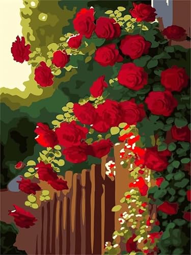 Malen Nach Zahlen Erwachsene Rose, DIY Malen Nach Zahlen Blumenwand Ölgemälde Leinwand Kit für Anfänger, Mit 3-Pinseln und Acrylfarbe, für Home Wanddeko Wohnzimmer, Geschenke Mädchen 40x60cm-Y424 von Jvyaeen