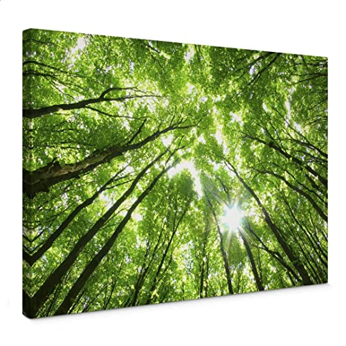 K&L Wall Art Baum des Lebens Leinwandbild Baumkronen im Himmel Leinwand Wald Motive Wandbild in Holz Bilderrahmen von K&L Wall Art