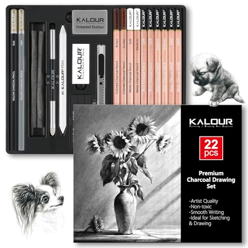 KALOUR PDAS 22-teiliges Zeichenkohle-Set, Professionelles Kunstzubehör, Schwarze und Weiße Kohlebleistifte zum Zeichnen, Skizzieren, Schattieren und Verblenden, für Anfänger und erfahrene Künstler von KALOUR PDAS