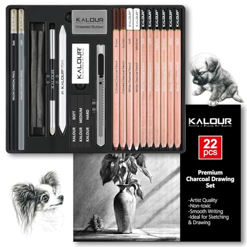 KALOUR PDAS 22-teiliges Zeichenkohle-Set, Professionelles Kunstzubehör, Schwarze und Weiße Kohlebleistifte zum Zeichnen, Skizzieren, Schattieren und Verblenden, für Anfänger und erfahrene Künstler von KALOUR PDAS