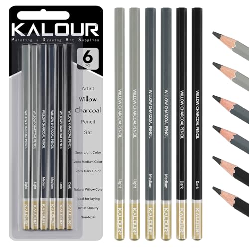 KALOUR PDAS Professionelles Weidenkohlestift-Zeichen-Set - 6 Stück Weidenkohlenstifte in leicht, mittel und dunkel für Zeichnen, Skizzieren, Schattieren, Künstlerstifte für Anfänger und Künstler von KALOUR PDAS