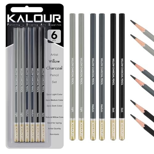 KALOUR PDAS Professionelles Weidenkohlestift-Zeichen-Set - 6 Stück Weidenkohlenstifte in leicht, mittel und dunkel für Zeichnen, Skizzieren, Schattieren, Künstlerstifte für Anfänger und Künstler von KALOUR PDAS