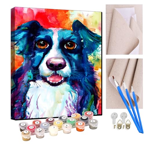 KANGBAWA Malen Nach Zahlen Erwachsene Berner Sennenhund DIY Handgemalt Ölgemälde Kit für Anfänger und Erwachsene Mit 3-Pinseln und Acrylfarbe, Ohne Rahmen 40X50CM von KANGBAWA