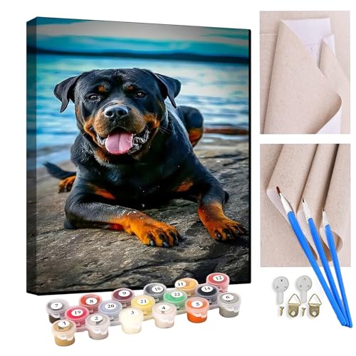 KANGBAWA Malen Nach Zahlen Erwachsene Schwarzer Rottweiler am Strand DIY Handgemalt Ölgemälde Kit für Anfänger und Erwachsene Mit 3-Pinseln und Acrylfarbe, Ohne Rahmen 40X50CM von KANGBAWA