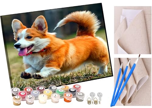 KANGBAWA Malen Nach Zahlen Erwachsene walisischer Corgi-Hund DIY Handgemalt Ölgemälde Leinwand Kits Mit Pinsels und Acrylfarbe Als Geschenke und Heimdekoration Ohne Rahmen 40 x 50 cm von KANGBAWA