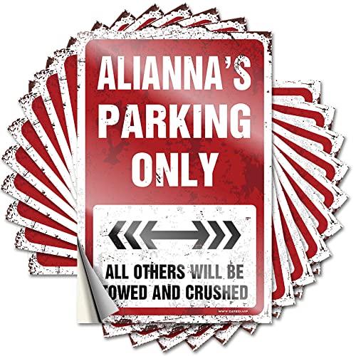 Aufkleber für Auto, Alianna's Parking Only, lustig, 10 Stück, Liebesaufkleber für Erwachsene (12 x 18 cm) von KAXW