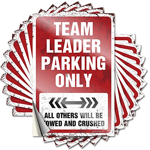 Hardhat-Sticker und Aufkleber, Teamleiter, Parkplatz, lustige Aufkleber für Zuhause, Bar, lustige Autoaufkleber (8 x 12 cm), 10 Stück von KAXW