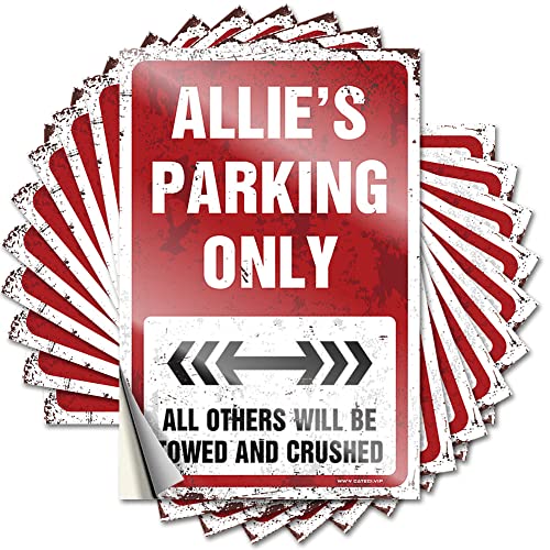 Inappropriate Stickers Allie's Parking Only, lustiger Aufkleber, 10 Stück, lustige Schilder, Dekoration, unangemessene Aufkleber (12 x 18 cm) von KAXW