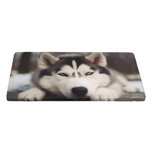 KCGSDEGV Husky Tischdecke, bedruckt, rechteckig, wasserdicht, waschbar, für Küche, Esszimmer, Erntedankfest, Weihnachten von KCGSDEGV