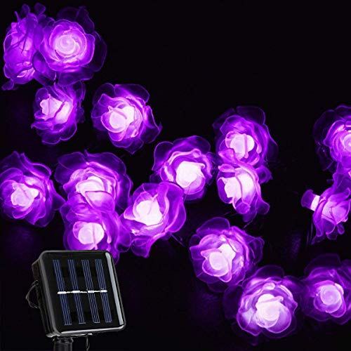 KEEDA Solar Lichterketten, 30 LED Rose Blume Lichterkette Wasserdichte dekorative Beleuchtung für Außen Patio Garten Hochzeit Weihnachten Party (Lila) von KEEDA