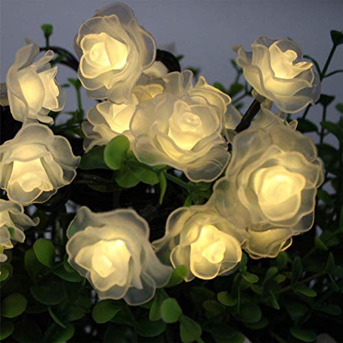 KEEDA Solar Lichterketten, 30 LED Rose Blume Lichterkette Wasserdichte dekorative Beleuchtung für Außen Patio Garten Hochzeit Weihnachten Party (Warmweiß) von KEEDA